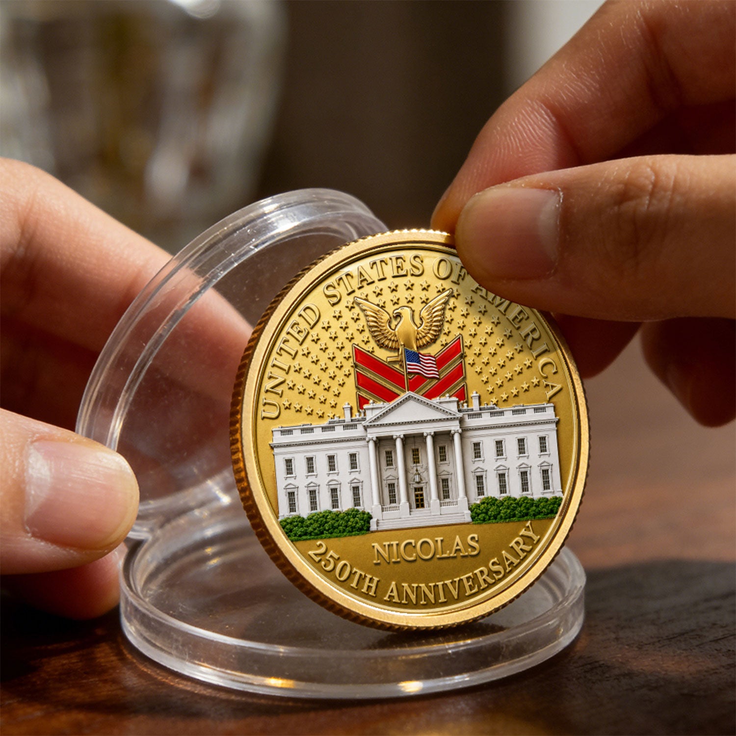 USA 250th Anniversary Custom Rank Name 3D Challenge Coin Gift